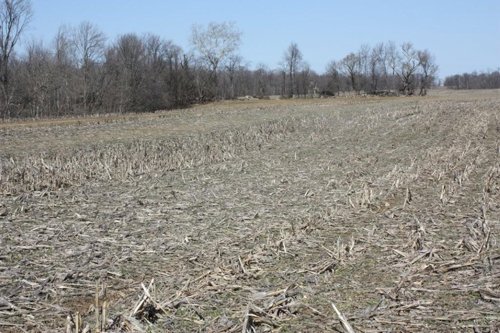 Property photo 2 - 200+/- Acre Land Auction in Gibson County, Indiana